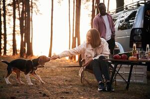 Man and, woman are together in the forest with the dog near the car photo