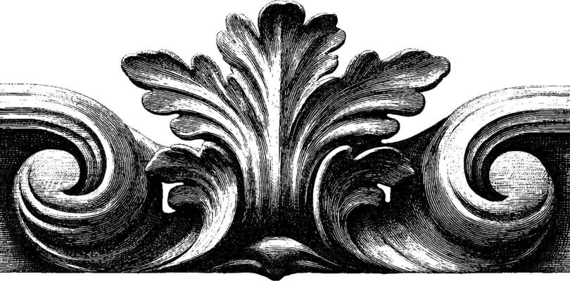 Intricate vintage baroque acanthus leaf ornament design.