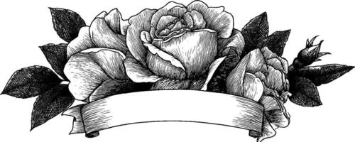 Elegant engraved roses and leaves design for decorative wrapping and craft projects. vector