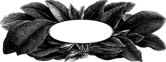 Engraved botanical design with leaves forming oval frame for decoration or print. vector