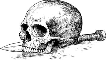 A detailed illustration of a human skull resting on a surface with a dagger partially embedded in it. The skull has prominent features and a realistic texture, while the dagger has a simple design. vector
