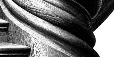 Black and white textured wooden spiral design with detailed grain pattern. vector