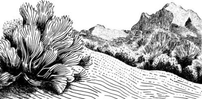 A detailed black and white illustration of a desert landscape featuring sand dunes, sparse vegetation, and distant mountains. The artwork captures the textures of the sand and plants, creating a serene and natural scene. vector