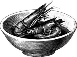 Vintage illustration. two shrimps in a bowl with etched detailing. vector