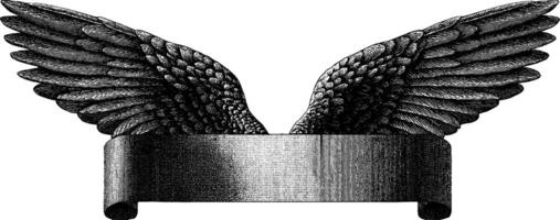 Engraved illustration of stylized bird wings with vintage scroll design for artistic projects. vector