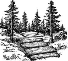 A hand-drawn illustration of a forest path with wooden logs as stepping stones. Tall pine trees surround the pathway, creating a serene natural setting. vector