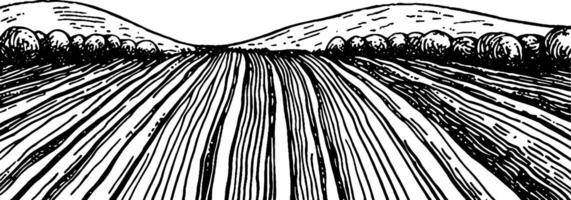 A black and white illustration of a rural landscape featuring plowed fields leading towards rolling hills in the background, with trees lining the sides. vector
