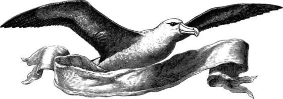 Intricate engraving of an albatross soaring above ribbon design for nature art concepts. vector