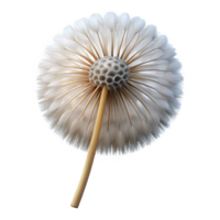 exemplary minimalist Professional render, photorealistic, isolated cutout of a single, perfectly formed dandelion seedhead, ready to disperse with Transparent Background original png