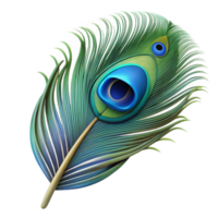 coveted creative Ultra-detailed, photorealistic render of a single feather, peacock feather, isolated cutout with Transparent Background gallery standard png