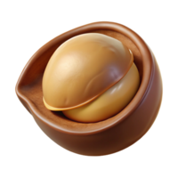 impressive whimsical elegant Macadamia nut, in shell with Transparent Background impeccable png