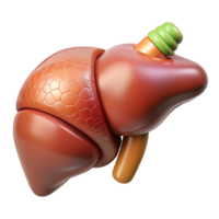 calm sumptuous Ultra-detailed, isolated cutout, biomechanical liver with enhanced detoxification capabilities with Transparent Background exclusive png