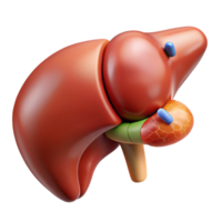 remarkable nordic Ultra-detailed, isolated cutout, biomechanical liver with enhanced detoxification capabilities with Transparent Background original png