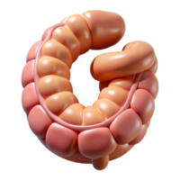 mysterious dramatic Hyper-specific, photorealistic render of a biomechanical intestine segment with enhanced digestion capabilities, isolated cutout with Transparent Background high quality png