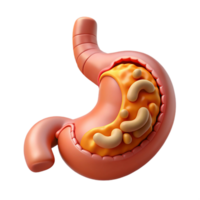 extraordinary tranquil abstract Isolated cutout, concept art style biomechanical stomach with digestive enzymes and nutrient absorption system Ultra-detailed with Transparent Background expertly shot png