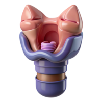 iconic futuristic Isolated cutout, ultra-detailed, biomechanical larynx with enhanced vocalization capabilities with Transparent Background precision png