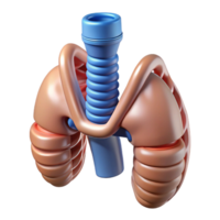 beautiful reflective surreal Hyper-specific, photorealistic render of a biomechanical artificial trachea, isolated cutout with Transparent Background premium png
