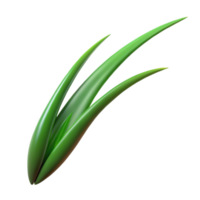 beautiful vintage Single blade of grass with Transparent Background sharp png