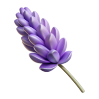 exquisite impressionist Hyper-specific, photorealistic, isolated cutout of a single, dried lavender flower with Transparent Background expertly shot png