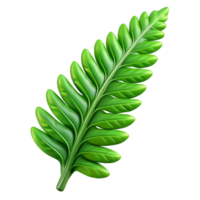 distinctive minimalist Isolated cutout of a concept art style hyper-specific fern frond, delicate, intricate details, green, with Transparent Background fine detail png