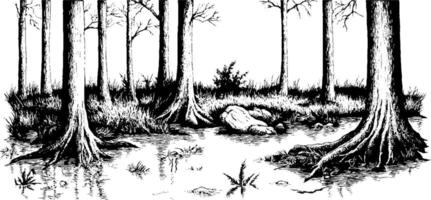 A detailed black and white illustration of a swampy forest scene, featuring tall trees with exposed roots, a small body of water, and patches of grass and shrubs. vector