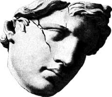 Crumbling marble head bust with visible cracks in monochrome. vector