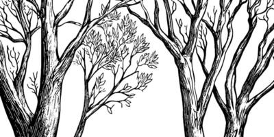 A detailed black and white illustration of trees with intricate branches and leaves, showcasing a natural and artistic style. vector