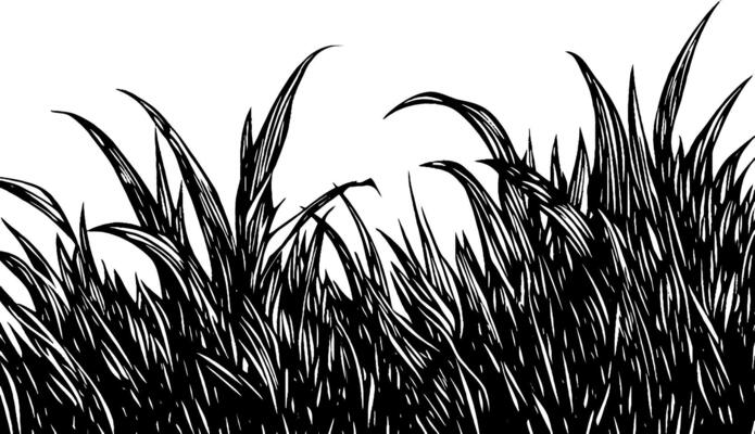 A detailed illustration of tall grass with sharp, pointed blades, creating a textured appearance against a white background.