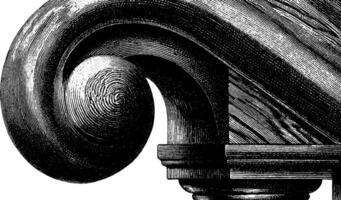 Detailed engraving of ionic column capital with scroll design. vector