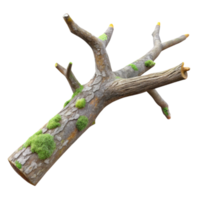sumptuous celebrated Concept art style, isolated cutout of a single, decaying tree branch with visible bark texture and lichen growth with Transparent Background png