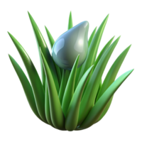exquisite victorian Close up of dew drop on blade of grass with Transparent Background Grass blade is part of dew drop subject perfect clarity png