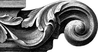 Ornate black and white architectural scroll motif design. vector