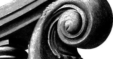 Detailed ionic column capital, classical architecture design, black and white engraving. vector