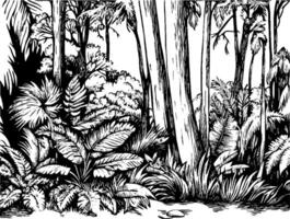 A detailed black and white illustration of a dense jungle scene, featuring various tropical plants, tall trees, and underbrush, creating a lush and vibrant atmosphere. vector