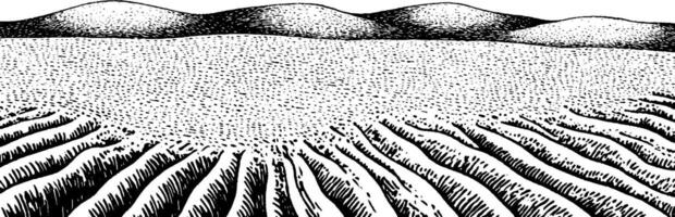 A black and white illustration of a vast, flat landscape with rolling hills in the background. The foreground features distinct, parallel lines representing furrows or ridges in the ground, creating a textured appearance. vector