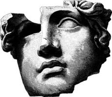 Ancient marble head sculpture fragment with detailed texture and classical features. vector