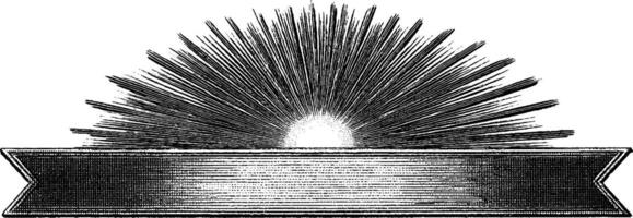 Vintage engraved sunburst with banner for design and decoration. vector