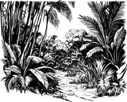 A detailed black and white illustration of a lush jungle scene, featuring tall palm trees, dense foliage, and a winding path through the greenery. vector
