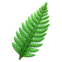 exceptional avant-garde Isolated cutout of a concept art style hyper-specific fern frond, delicate, intricate details, green, with Transparent Background impeccable png
