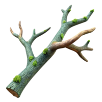 striking vintage Concept art style, isolated cutout of a single, decaying tree branch with visible bark texture and lichen growth with Transparent Background expertly shot png