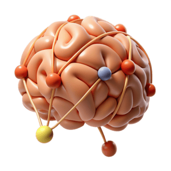 anmärkningsvärd modern en stiliserade hjärna med sammankopplade neuralt vägar med transparent bakgrund precision png