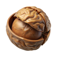 reflective breathtaking Photorealistic, ultra-detailed render of a single nut, walnut, cracked open, isolated cutout with Transparent Background expertly shot png