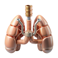 serene reflective artistic Concept art style biomechanical lung, intricate network of tubes and filters, pulsating bellows, copper and glass, isolated cutout with Transparent Background 8K png
