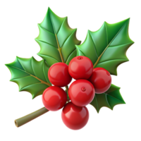 immaculate tropical Branch of holly with red berries with Transparent Background masterfully captured png
