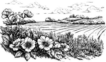 A detailed black and white illustration of a landscape featuring blooming flowers in the foreground and rolling hills in the background. The scene captures a serene rural setting with clouds in the sky. vector
