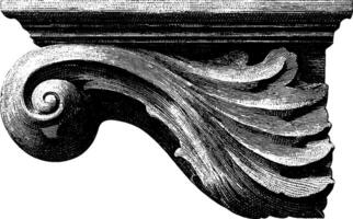 Intricate black and white engraving of a classical decorative scroll element. vector