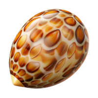 distinguished coastal Professional render concept art style isolated cutout of a polished tiger cowrie shell, glossy, vibrant, intricate patterns, with Transparent Background original png