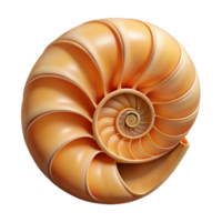 pristine mysterious coastal Ultra-detailed, isolated cutout of a single, perfect spiral nautilus shell with its chambers visible with Transparent Background 8K png