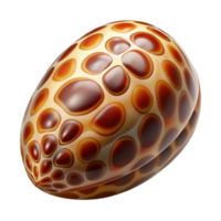 rare tropical Professional render concept art style isolated cutout of a polished tiger cowrie shell, glossy, vibrant, intricate patterns, with Transparent Background precision png