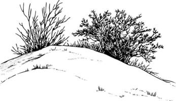 A black and white illustration of a small hill with two types of bushes. The hill is gently sloped, and the bushes have intricate branches and leaves, creating a natural landscape scene. vector